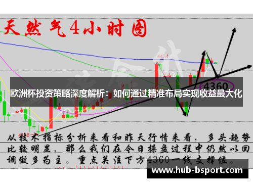 欧洲杯投资策略深度解析：如何通过精准布局实现收益最大化